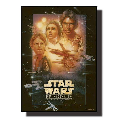 Star Wars Canvas Decorative Painting