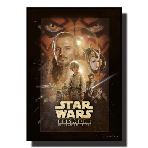 Star Wars Canvas Decorative Painting